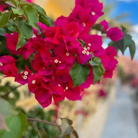 For In Costa Smeralda Ольбія